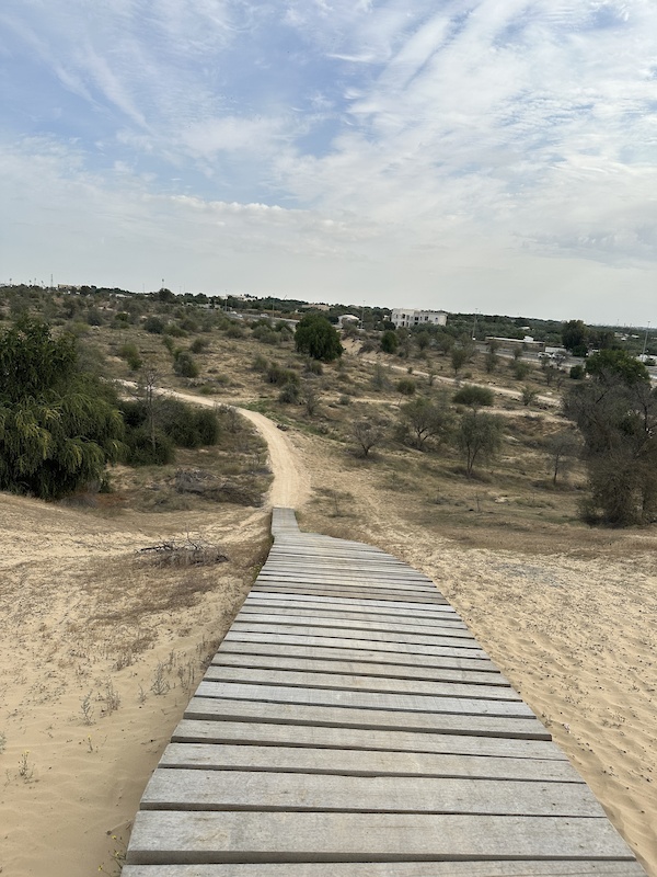 Construction of Mountain Bike Track – Mushrif Park — 3